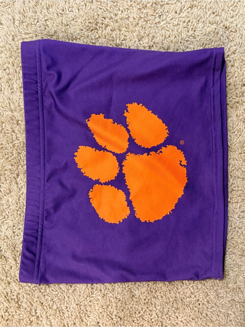 Clemson tube top